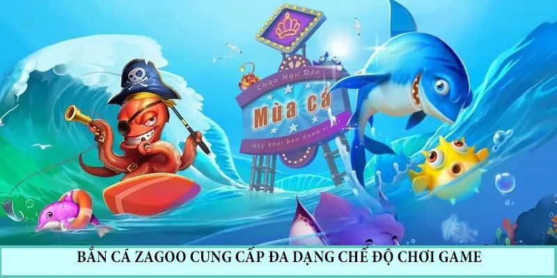 Ngư trường săn cá Zagoo hấp dẫn, thú vị