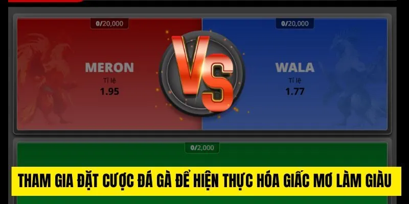 Tham gia đặt cược đá gà để hiện thực hóa giấc mơ làm giàu 